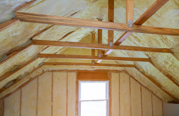 Best Insulation Maintenance and Repair in Hyattsville, MD