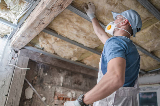 Best DIY Insulation Kits and Guidance in Hyattsville, MD