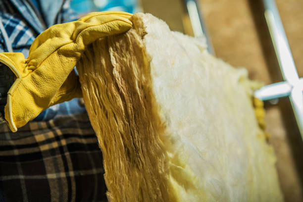 Best Geographic-Specific Insulation Services in Hyattsville, MD