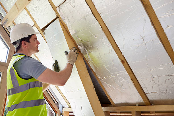 Best Cellulose Insulation in Hyattsville, MD