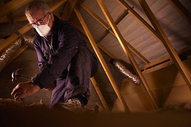 Best Eco-Friendly Insulation in Hyattsville, MD