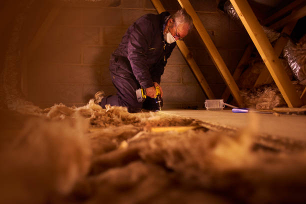 Best Fiberglass Insulation in Hyattsville, MD